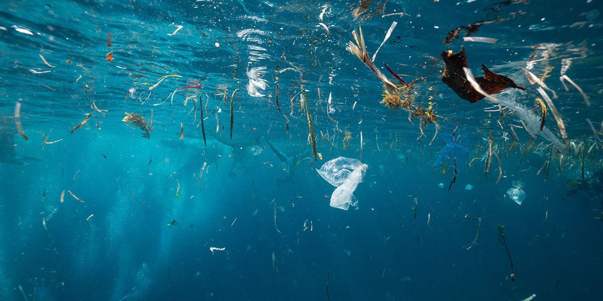SilentPET acoustic panels reduces plastic waste in oceans
